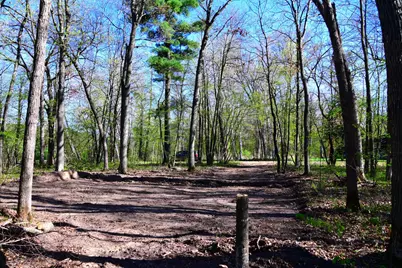 40889 Penelope Loop, Browerville, MN 56438 - Photo 13