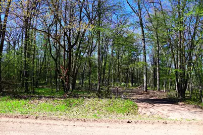 40889 Penelope Loop, Browerville, MN 56438 - Photo 11