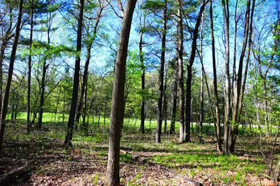 40889 Penelope Loop, Browerville, MN 56438 - Photo 15