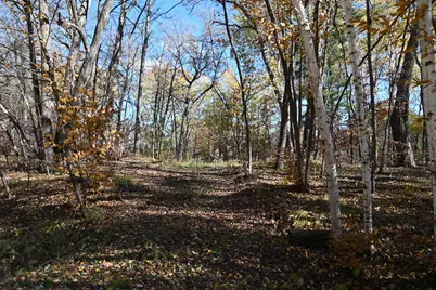 39906 Pine Island Pt Drive, Browerville, MN 56438 - Photo 5