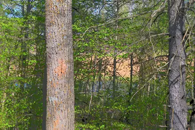 39906 Pine Island Pt Drive, Browerville, MN 56438 - Photo 25