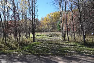 27705 Oberon Loop, Browerville, MN 56438 - Photo 1