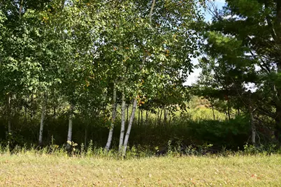 Tbd Poplar Lane, Browerville, MN 56438 - Photo 9