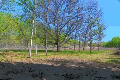 Tbd Poplar Lane, Browerville, MN 56438 - Photo 3
