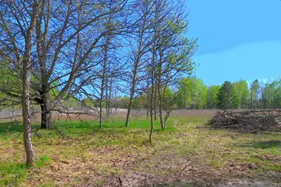 Tbd Poplar Lane, Browerville, MN 56438 - Photo 5