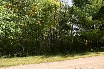 Tbd Poplar Lane, Browerville, MN 56438 - Photo 7