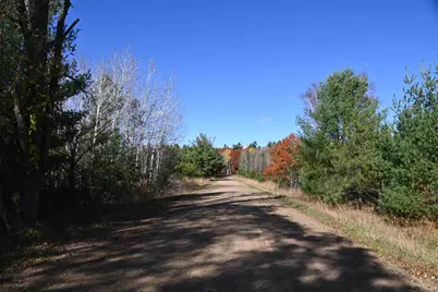 Tbd Pacer Loop, Browerville, MN 56438 - Photo 5