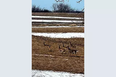 17531 County 41 Boulevard, Red Wing, MN 55066 - Photo 103