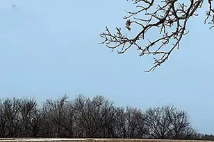 17531 County 41 Blvd, Red Wing, MN 55066 - Photo 107