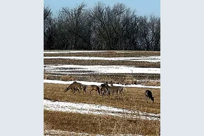 17531 County 41 Boulevard, Red Wing, MN 55066 - Photo 105