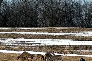 17531 County 41 Blvd, Red Wing, MN 55066 - Photo 105