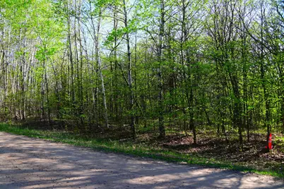 28329 Orchard Drive, Browerville, MN 56438 - Photo 9