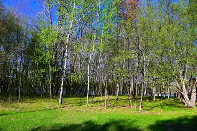 28329 Orchard Drive, Browerville, MN 56438 - Photo 25