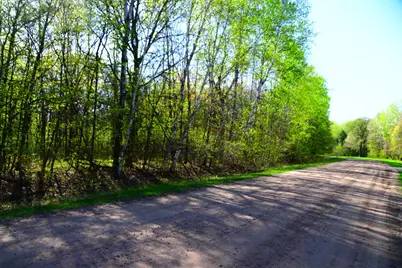 28329 Orchard Drive, Browerville, MN 56438 - Photo 11