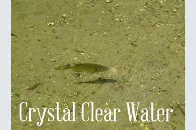 28329 Orchard Drive, Browerville, MN 56438 - Photo 33