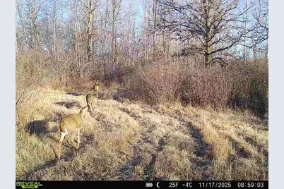 Tbd Coneflower Drive SW, Pine River, MN 56474 - Photo 19