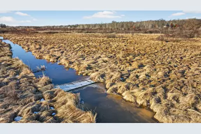 Tbd Coneflower Drive SW, Pine River, MN 56474 - Photo 11