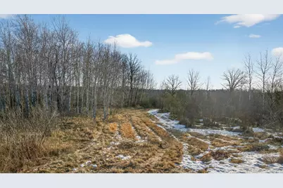 Tbd Coneflower Drive SW, Pine River, MN 56474 - Photo 5