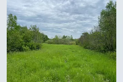 Tbd Coneflower Drive SW, Pine River, MN 56474 - Photo 3
