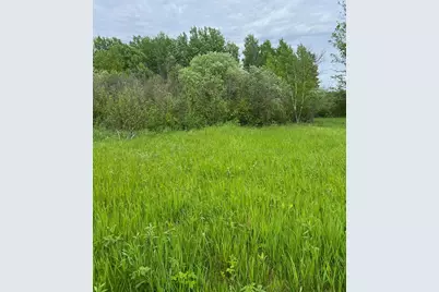 Tbd Coneflower Drive SW, Pine River, MN 56474 - Photo 5