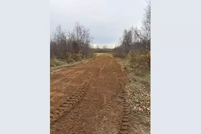 Tbd Coneflower Drive SW, Pine River, MN 56474 - Photo 17