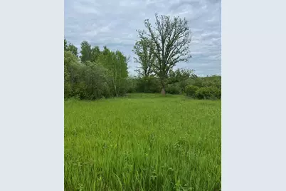 Tbd Coneflower Lane SW, Pine River, MN 56474 - Photo 1