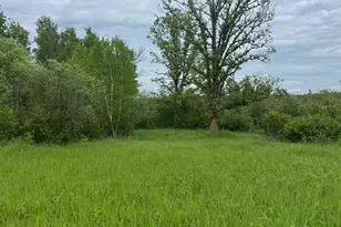Tbd Coneflower Dr SW, Pine River, MN 56474 - Photo 1
