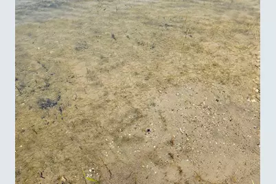 507Xx 397th Ave [d2], Frazee, MN 56544 - Photo 9