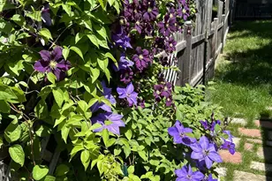 3405 Cleveland St NE, Minneapolis, MN 55418 - Photo 41