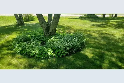 9672 Cr-1, Pine River, MN 56474 - Photo 11