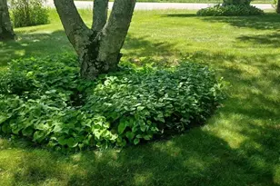 9672 Cr-1, Pine River, MN 56474 - Photo 11