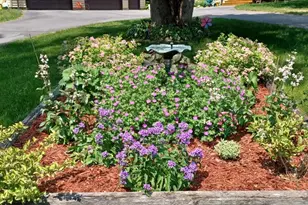 9672 Cr-1, Pine River, MN 56474 - Photo 13