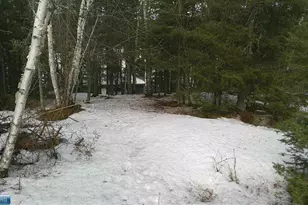 3031 Black Bay Rd, Cook, MN 55723 - Photo 33