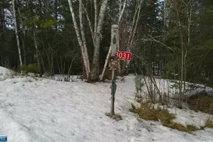 3031 Black Bay Rd, Cook, MN 55723 - Photo 33