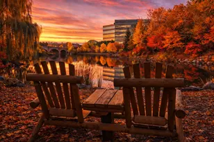 6528 Josephine Ave, Edina, MN 55439 - Photo 3