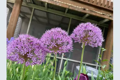 3545 York Drive, Woodbury, MN 55125 - Photo 31