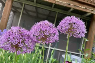 3545 York Dr, Woodbury, MN 55125 - Photo 31