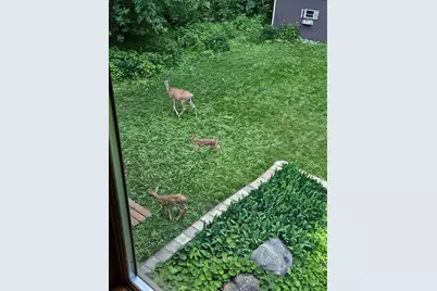 352 Cimarron Road, Apple Valley, MN 55124 - Photo 81