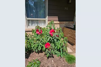 352 Cimarron Road, Apple Valley, MN 55124 - Photo 85