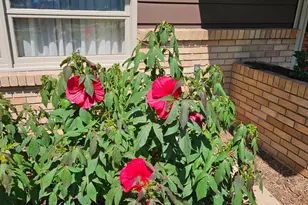 352 Cimarron Rd, Apple Valley, MN 55124 - Photo 85