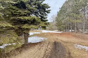 Tbd Randolph Rd, Detroit Lakes, MN 56501 - Photo 1