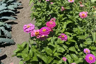 965 Larpenteur Ave W, Roseville, MN 55113 - Photo 23