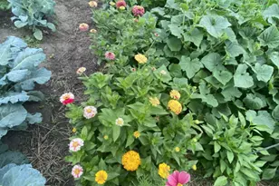 965 Larpenteur Ave W, Roseville, MN 55113 - Photo 25