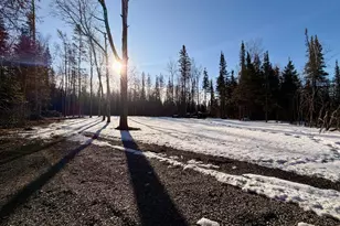 Tbd Butler Rd, Mountain Iron, MN 55768 - Photo 1
