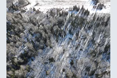 Tbd Butler Road, Mountain Iron, MN 55768 - Photo 11