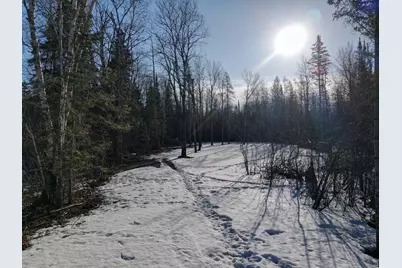 Tbd Butler Road, Mountain Iron, MN 55768 - Photo 5