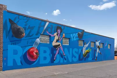 4100 Vera Cruz Avenue N, Robbinsdale, MN 55422 - Photo 53