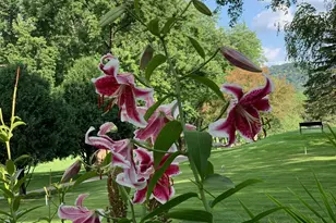 1628 Valley View Dr, Winona, MN 55987 - Photo 47