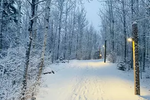 128 Bridge Run Ln, Lutsen Township, MN 55612 - Photo 29