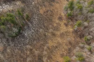 27633 182nd St, Holcombe, WI 54745 - Photo 55